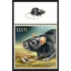 Estonia 2020, Zwierzęta: szczur. Margines **