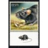 Estonia 2020, Zwierzęta: szczur. Margines **