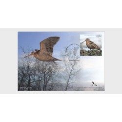 Estonia 2022, Ptaki: Słonka zwyczajna. FDC