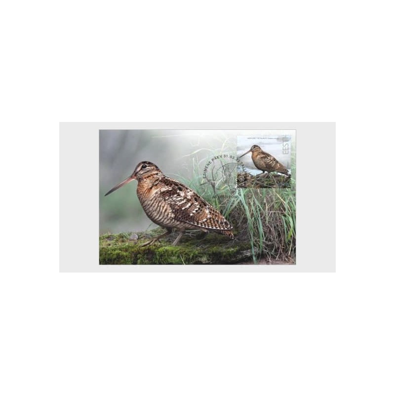 Estonia 2022, Ptaki: Słonka zwyczajna. Karta maksimum