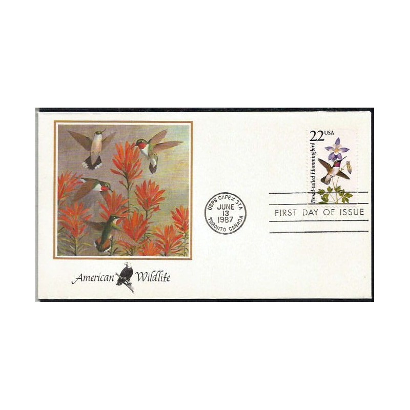 USA 1987, Fauna: koliber, ptak. FDC
