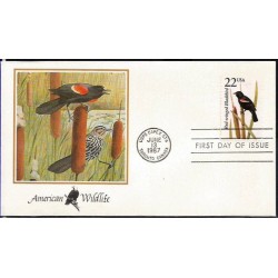 USA 1987, Fauna: kos, ptak. FDC