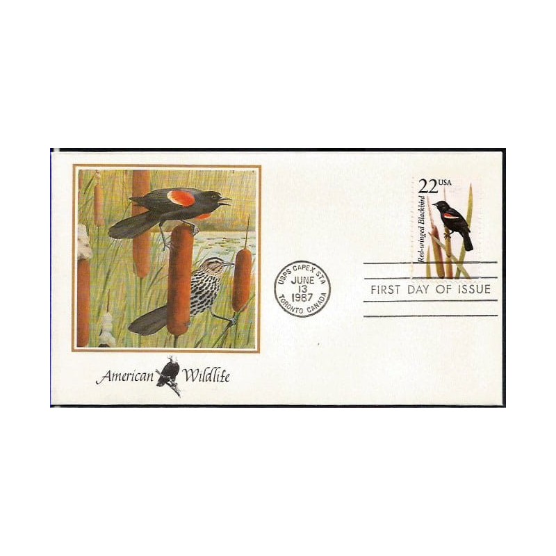 USA 1987, Fauna: kos, ptak. FDC