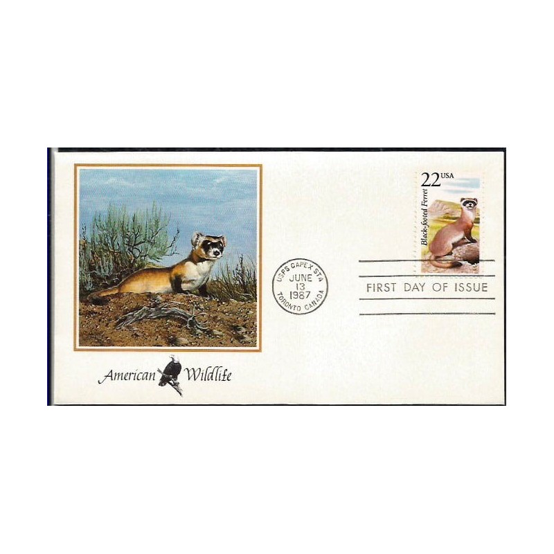 USA 1987, Fauna: tchórz. FDC