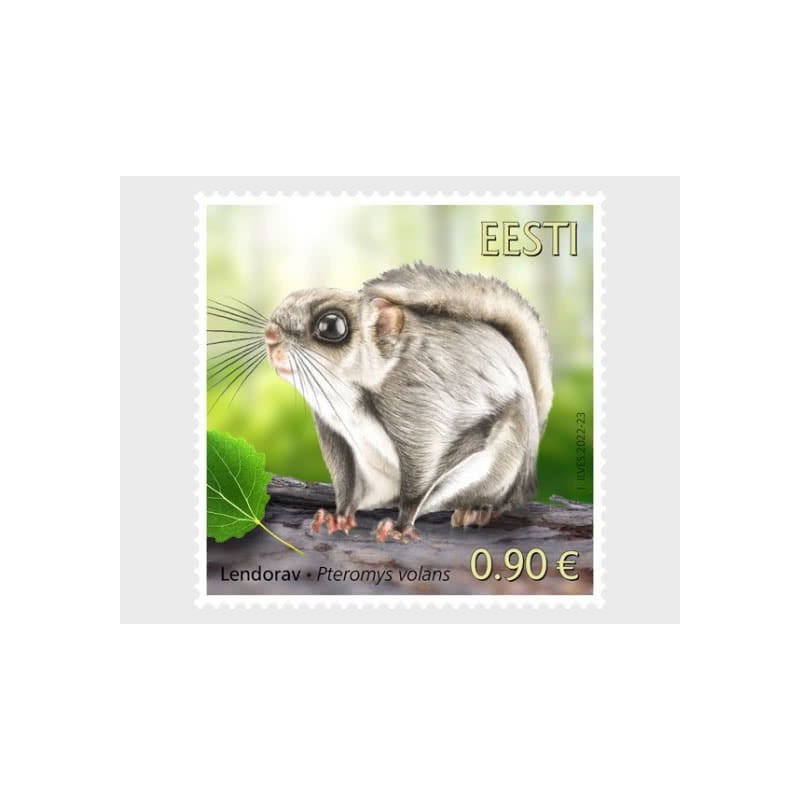 Estonia 2022, Wiewiórka polatucha **