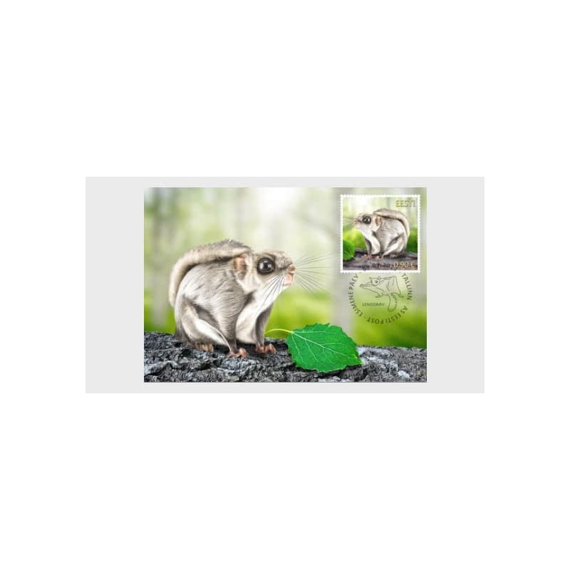 Estonia 2022, Wiewiórka polatucha. Karta maksimum