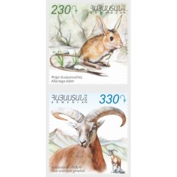 Armenia 2012, Ssaki: alaktaga mała i owca muflon **