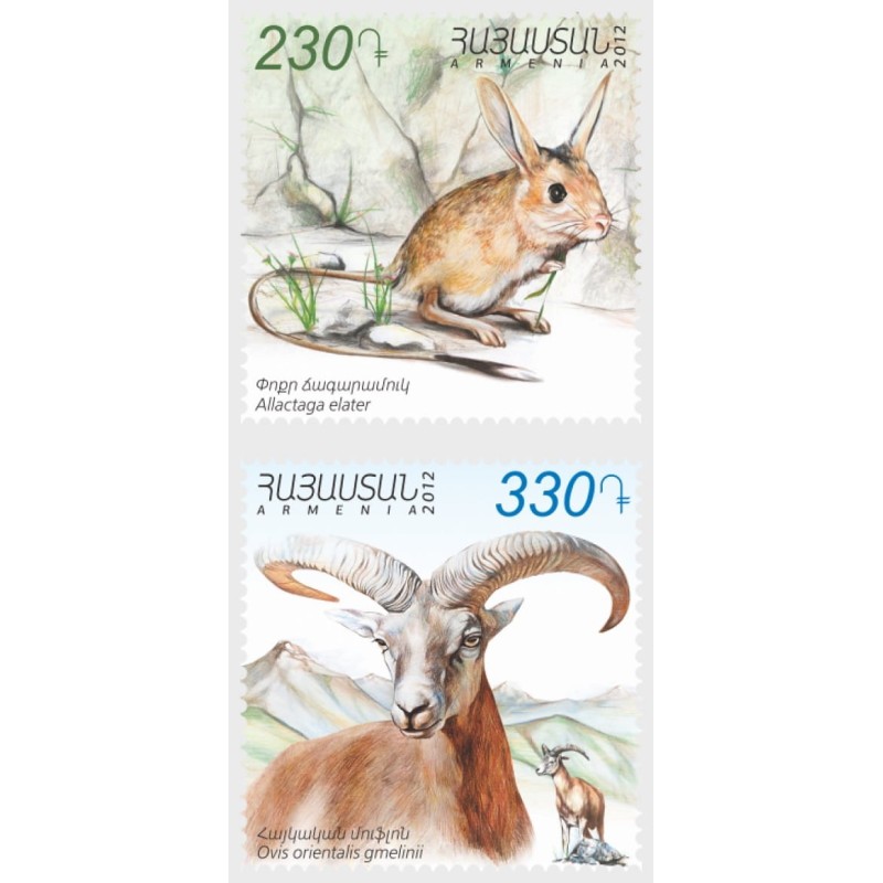 Armenia 2012, Ssaki: alaktaga mała i owca muflon **