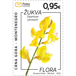 Czarnogóra 2022, Flora: szczodrzenica **
