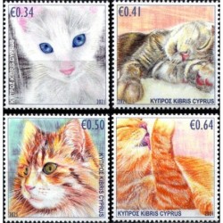 Cypr 2021, Ssaki: koty **
