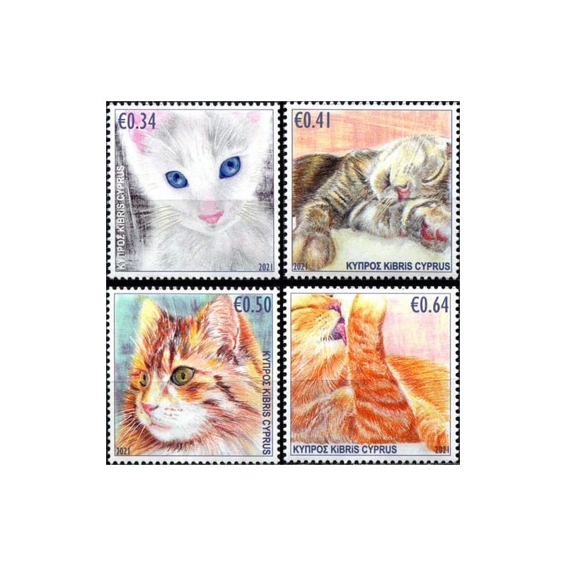 Cypr 2021, Ssaki: koty **