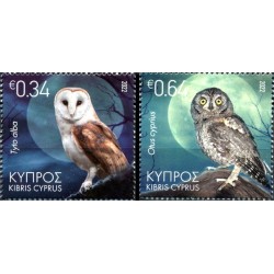 Cypr 2022, Ptaki: sowy **