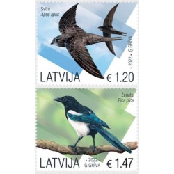 Łotwa 2022, Ptaki: jerzyk i sroka **