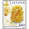 Litwa 2022, Kuchnia: sękacz **