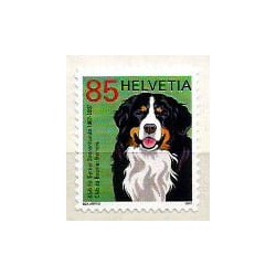 Szwajcaria 2007, Pies **