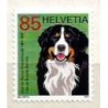 Szwajcaria 2007, Pies **