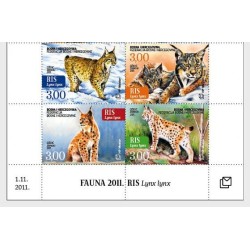 Bośnia 2011, Fauna: kot ryś **