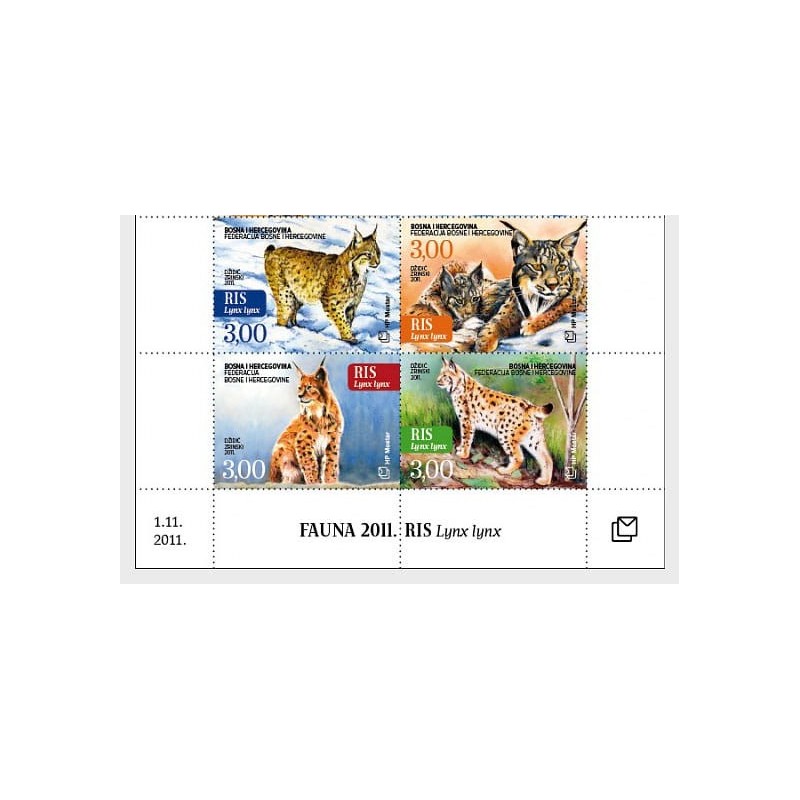 Bośnia 2011, Fauna: kot ryś **