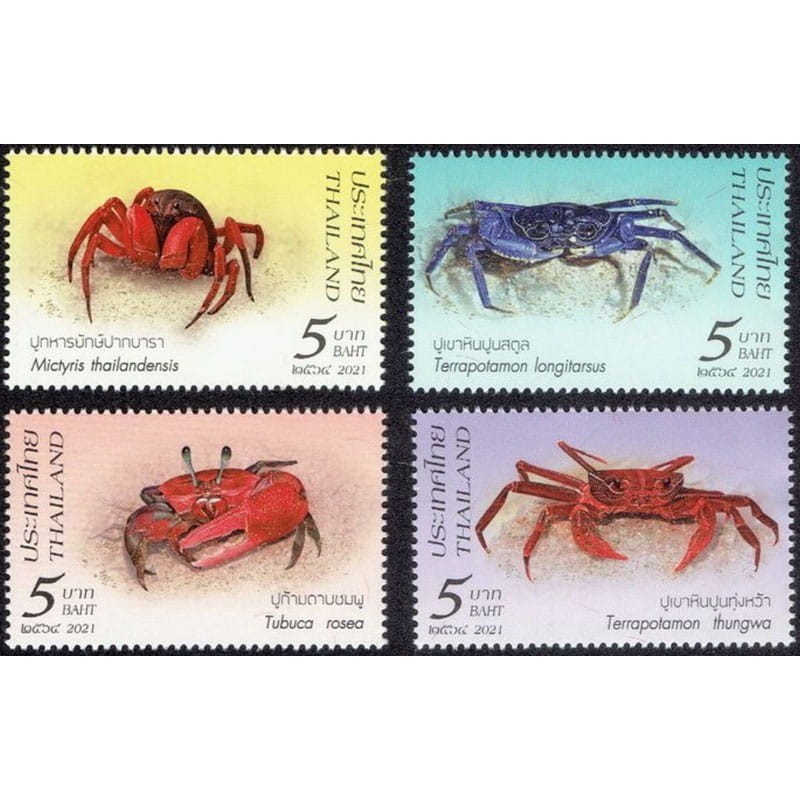 Tajlandia 2021, Fauna: kraby, skorupiaki **