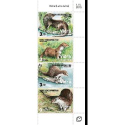 Bośnia 2013, Fauna: wydra **