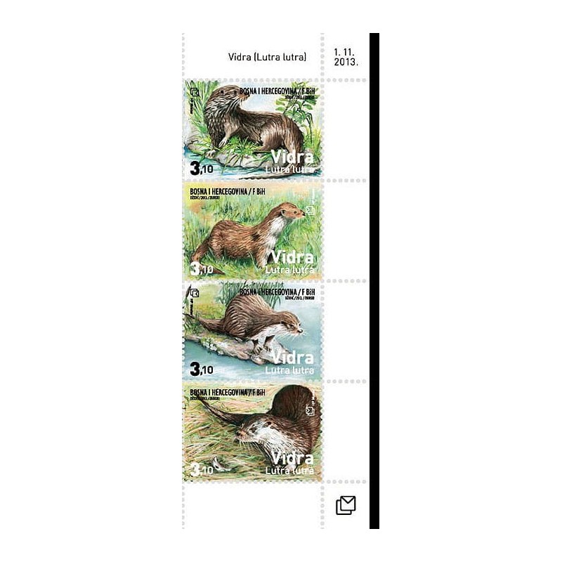 Bośnia 2013, Fauna: wydra **