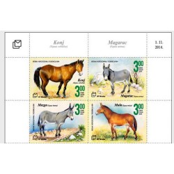 Bośnia 2014, Fauna: konie, osioł **