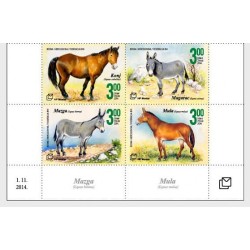 Bośnia 2014, Fauna: konie, osioł **