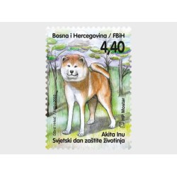 Bośnia 2022, Fauna: pies **