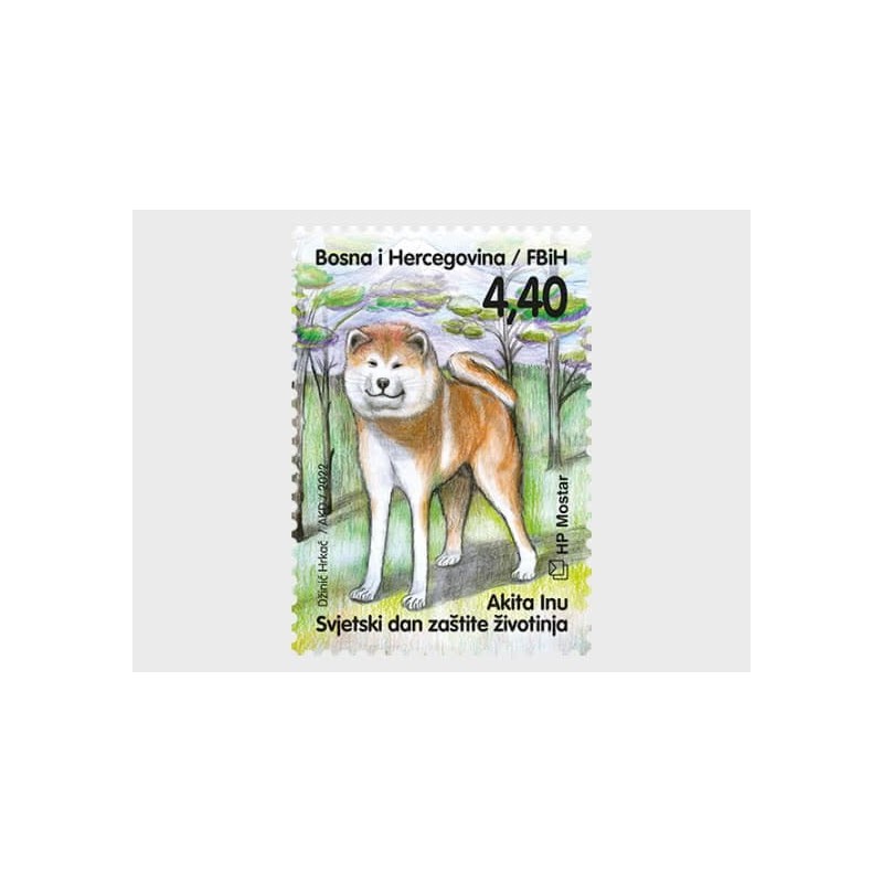 Bośnia 2022, Fauna: pies **