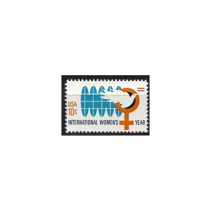 USA 1975, Kobieta, rok kobiet **