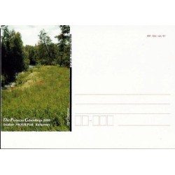 Kartka Gdańsk 2008, Pruszcz Gdański, dni