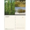 Chełm, Chełmski Park Krajobrazowy, ptak błotniak łąkowy