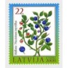 Łotwa 2008, Flora: borówka czarna**