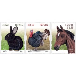 Łotwa 2023, Fauna: zając, indyk, koń **