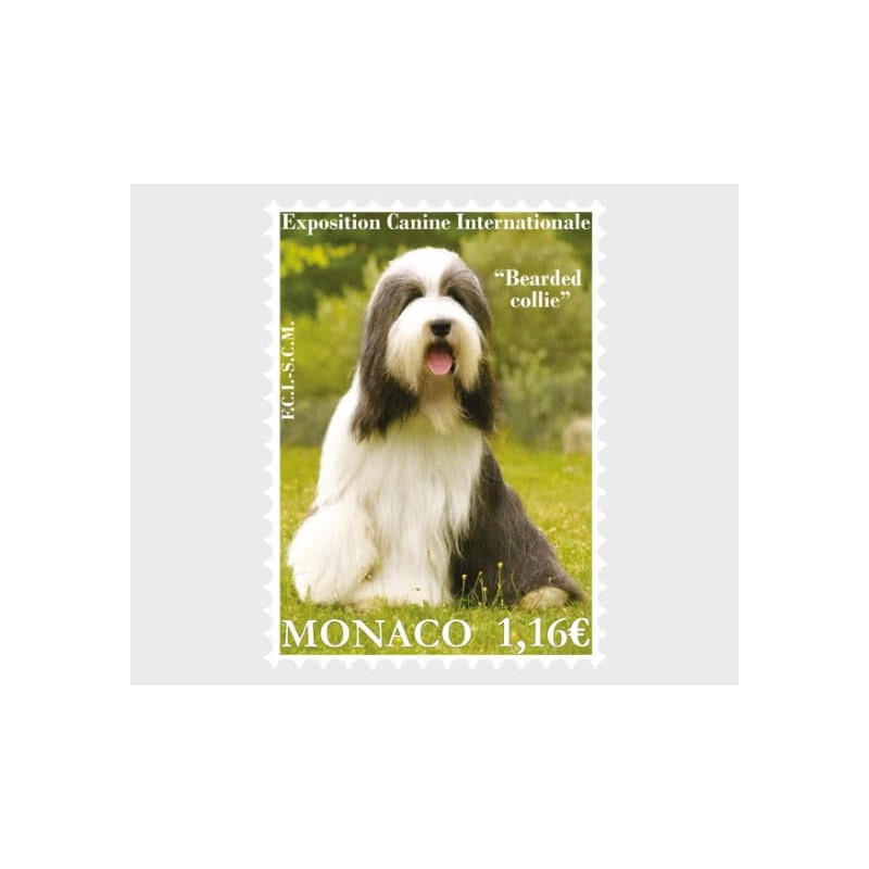 Monako 2023, Pies, wystawa psów **