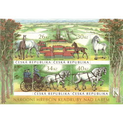 Czechy 2022, Konie, stadnina **