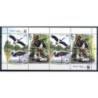 Białoruś 2005, Ptaki, fauna, WWF, bocian czarny **