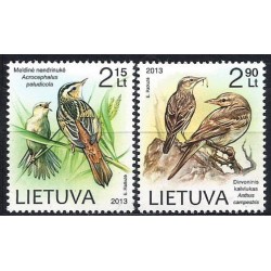 Litwa 2013, Ptaki: wodniczka, świergotek **