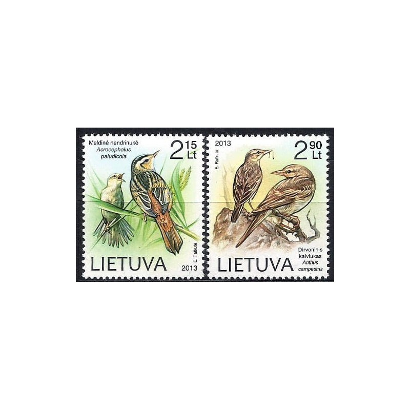 Litwa 2013, Ptaki: wodniczka, świergotek **