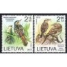 Litwa 2013, Ptaki: wodniczka, świergotek **