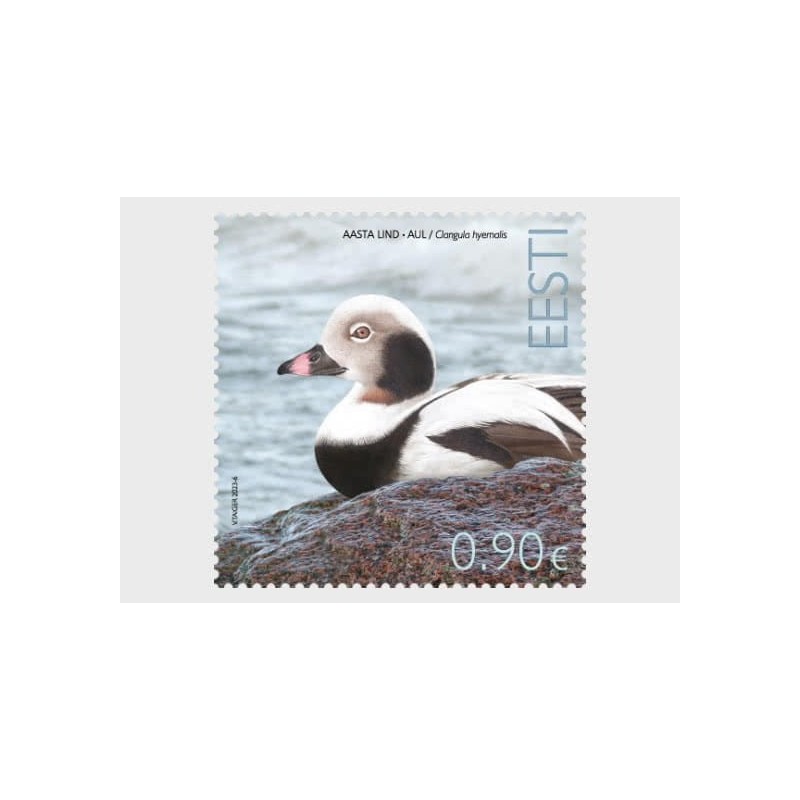 Estonia 2023, Ptak kaczka lodówka **