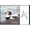 Estonia 2023, Ptak kaczka lodówka. Margines **