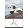 Estonia 2023, Ptak kaczka lodówka. Margines **