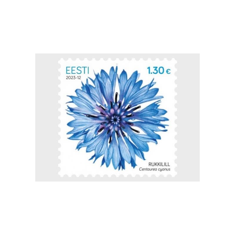 Estonia 2023, Kwiat: chaber **