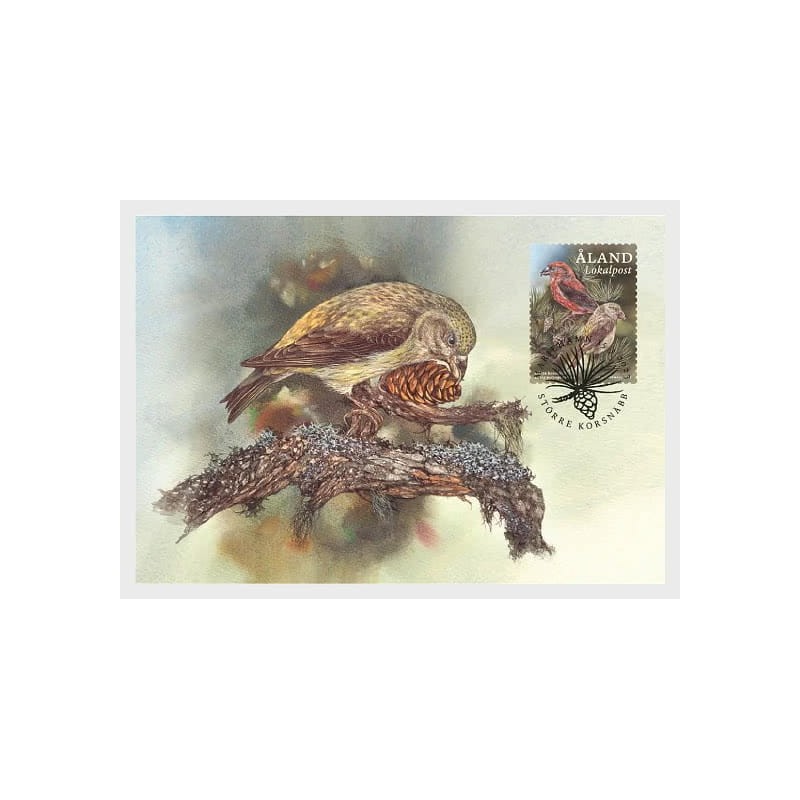 Wyspy Alandzkie 2023, Ptak: krzyżodziób sosnowy. Karta maksimum