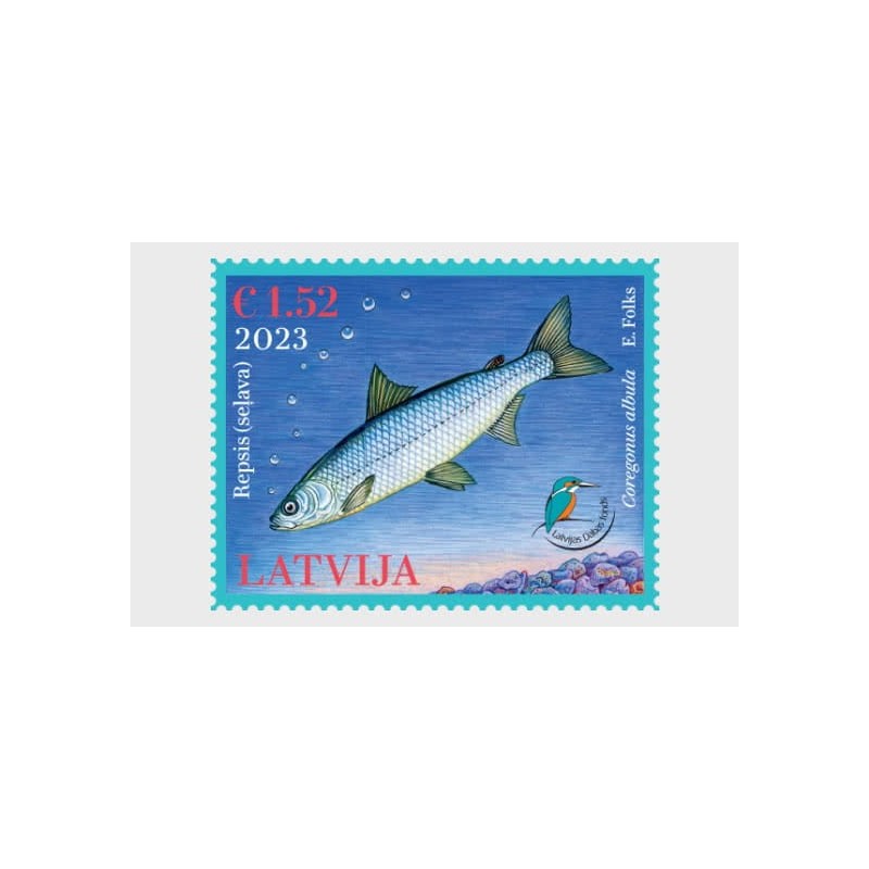 Łotwa 2023, Fauna: ryba sielawa **