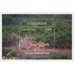 Azerbejdżan 2022, Park narodowy, ptak, fauna, antylopa **