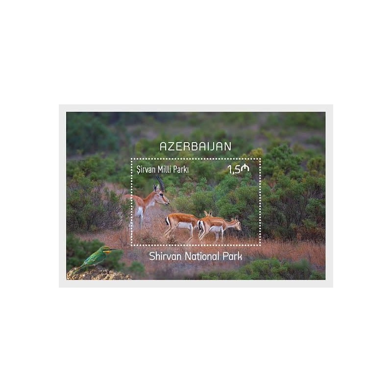 Azerbejdżan 2022, Park narodowy, ptak, fauna, antylopa **
