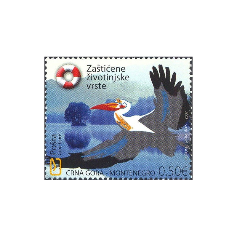 Czarnogóra 2007, Ptaki: pelikan **