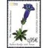 Czarnogóra 2016, Flora: kwiat goryczka **